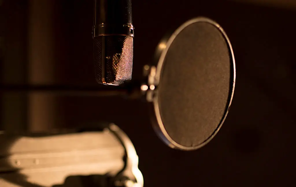 Pop Screen / Pop Filter